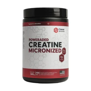 Creatina Micronizada 500g - One Fit